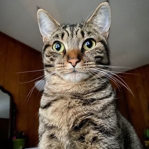 Meet your Posher, Stephanie